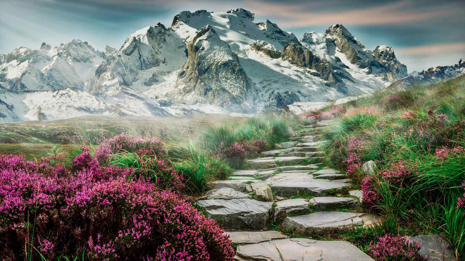 Mountain Path Floral Vista Wall Art
