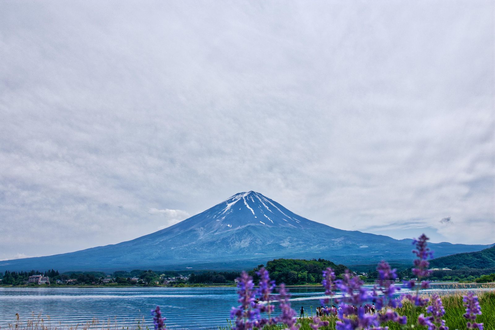 Majestic Fuji Serenity Landscape Wall Art