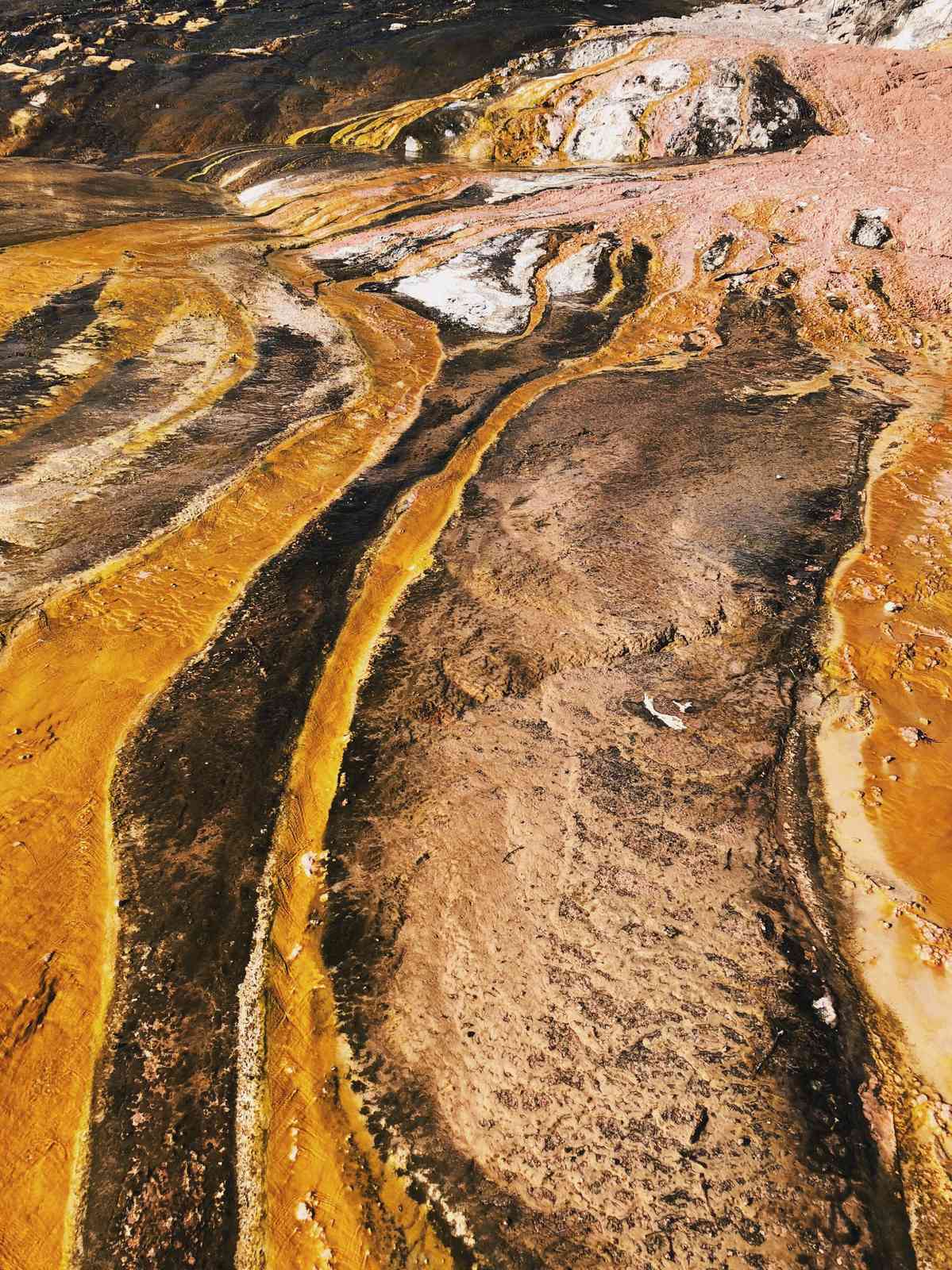 Golden Earth Flow Abstract Landscape Wall Art