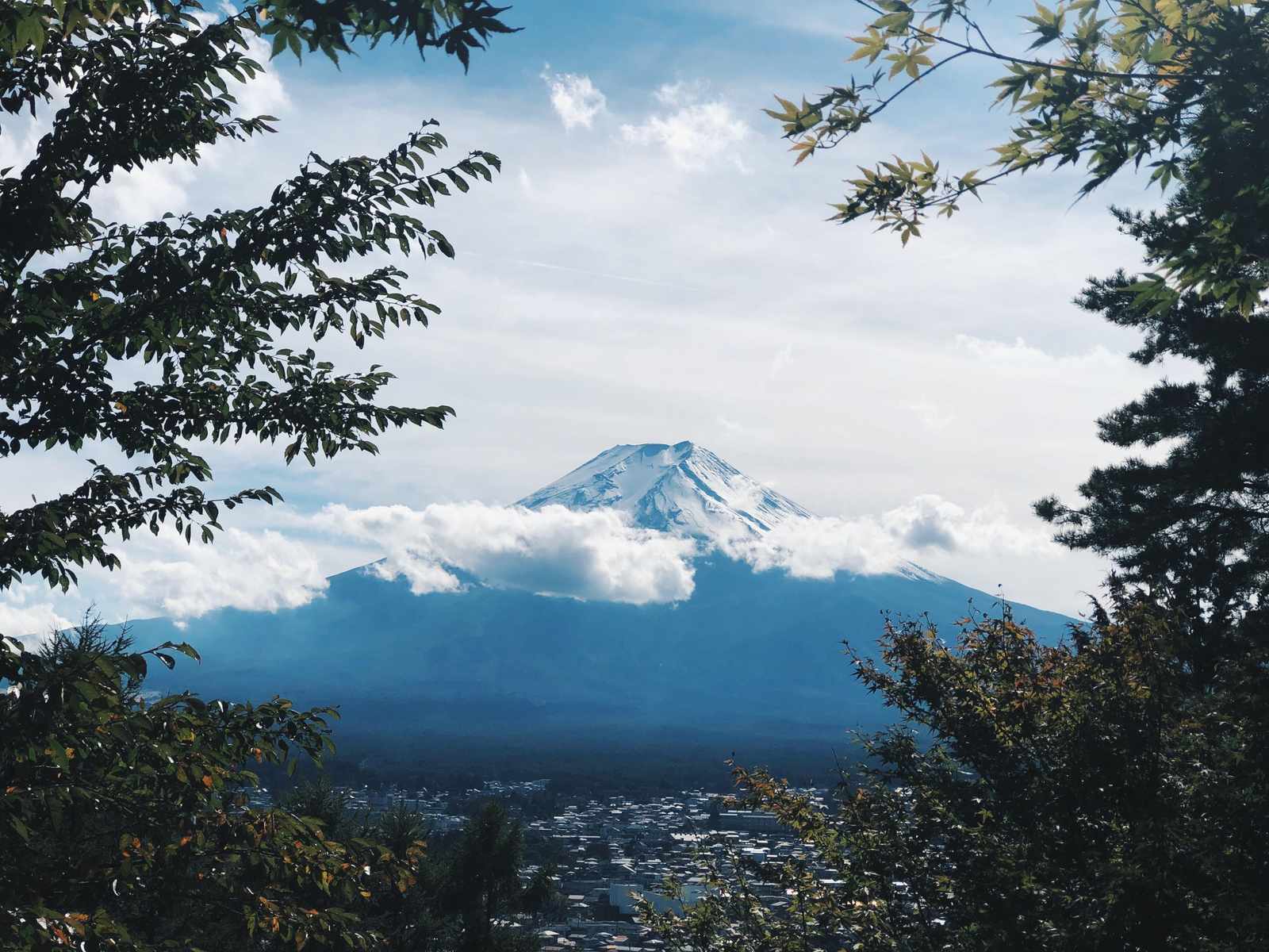 Majestic Fuji Serenity Mountain Wall Art