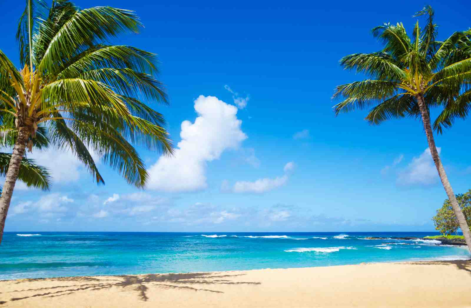 Tropical Paradise Beach Wall Art