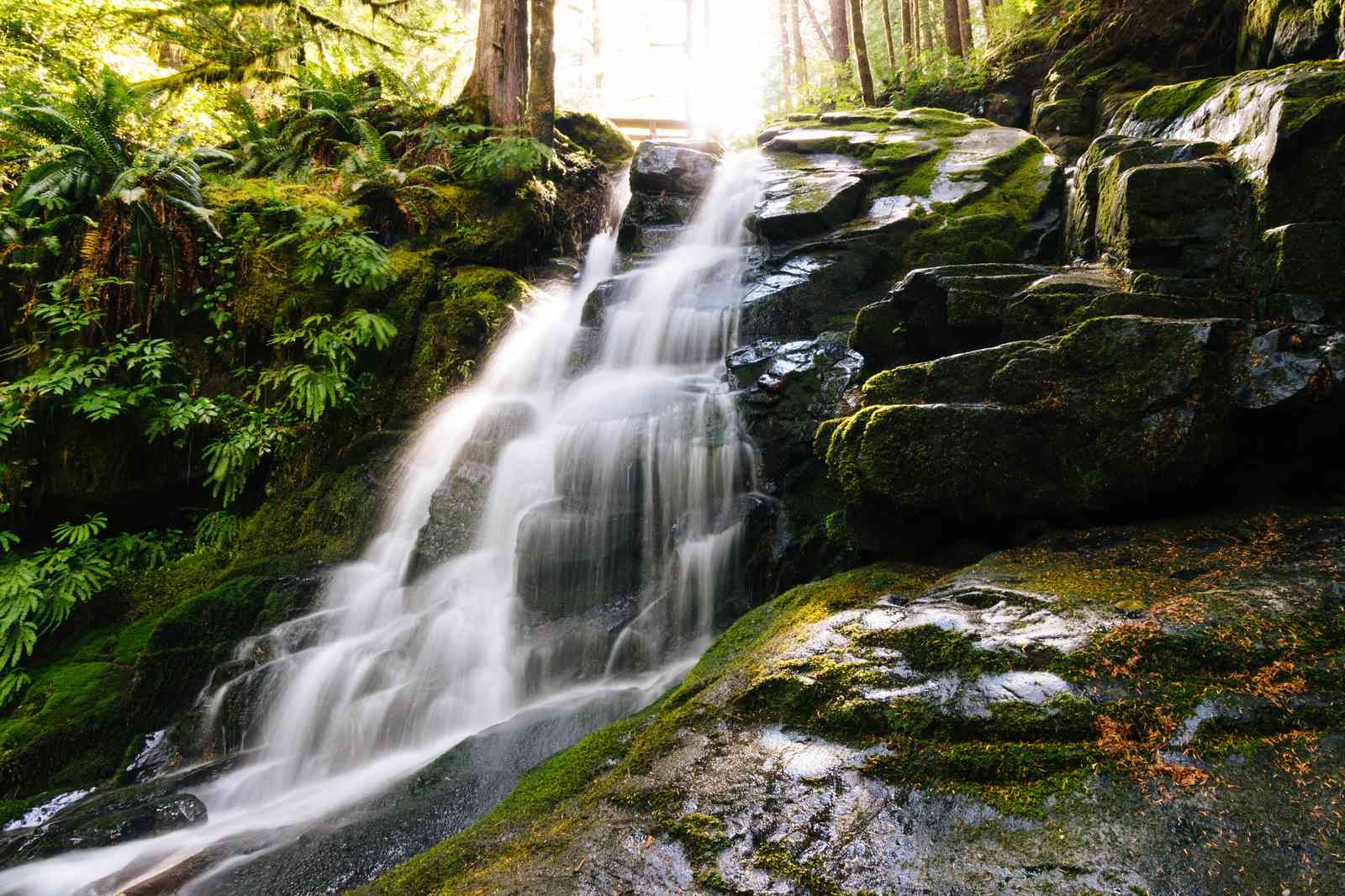 Tranquil Forest Waterfall Serenity Wall Art