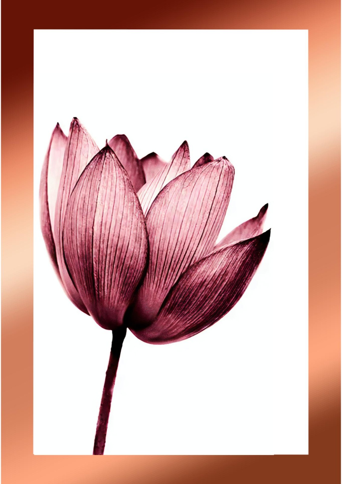 Elegant Pink Lotus Wall Art for Serene Spaces