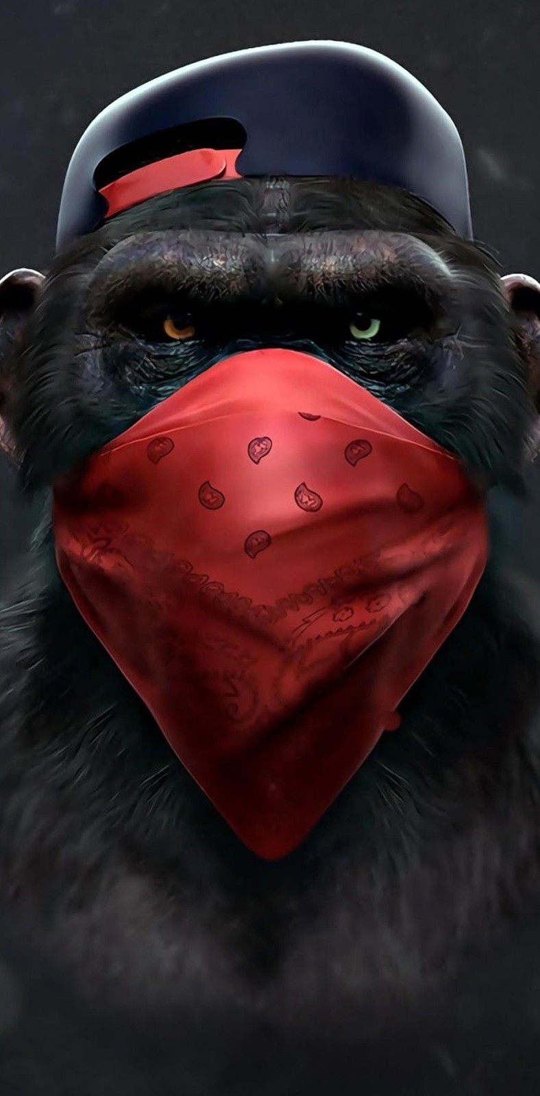 Urban Gorilla Bandana Portrait Wall Art