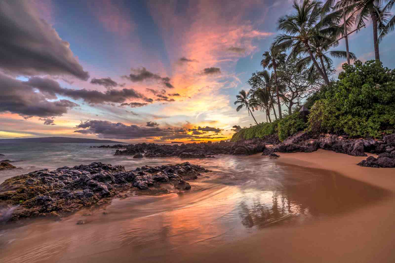 Tropical Maui Sunset Palm Beach Wall Art