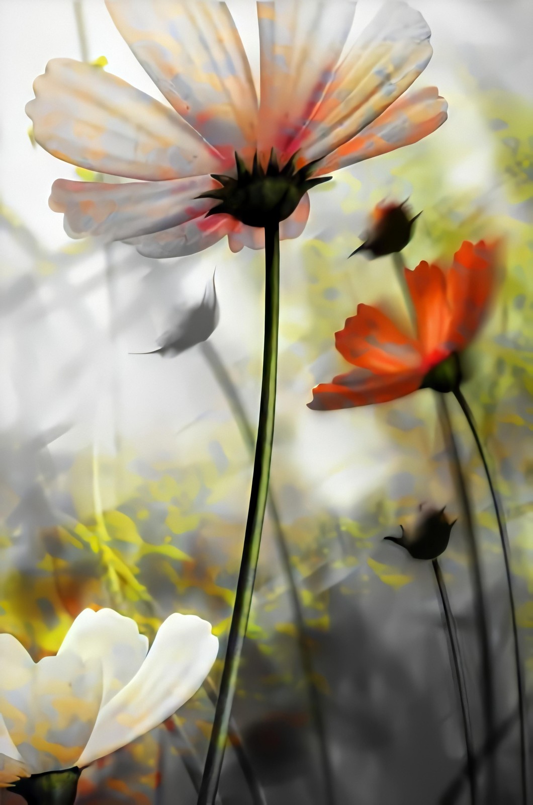 Abstract Floral Dream Wall Art