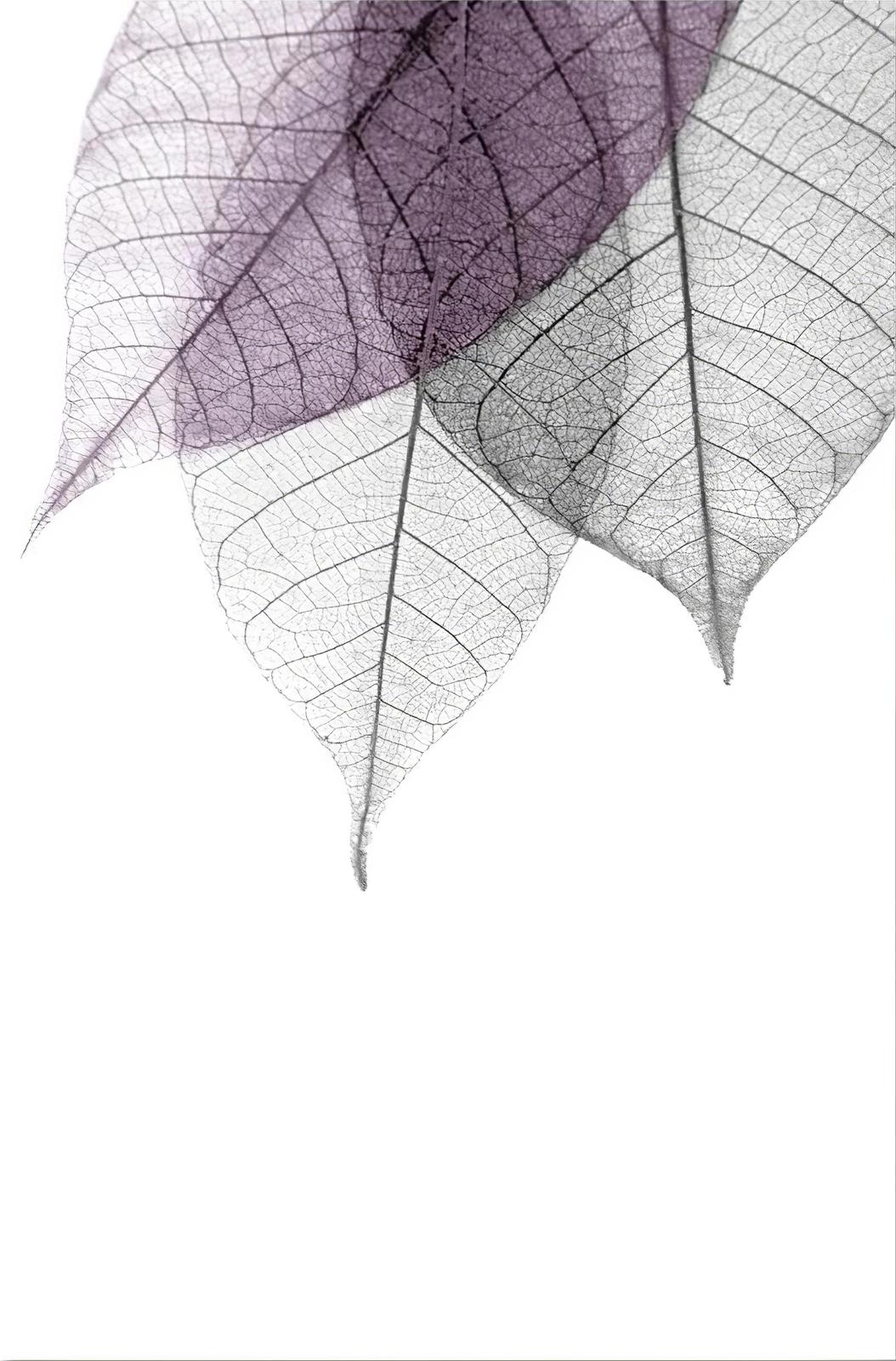 Delicate Skeleton Leaves Floral Wall Art