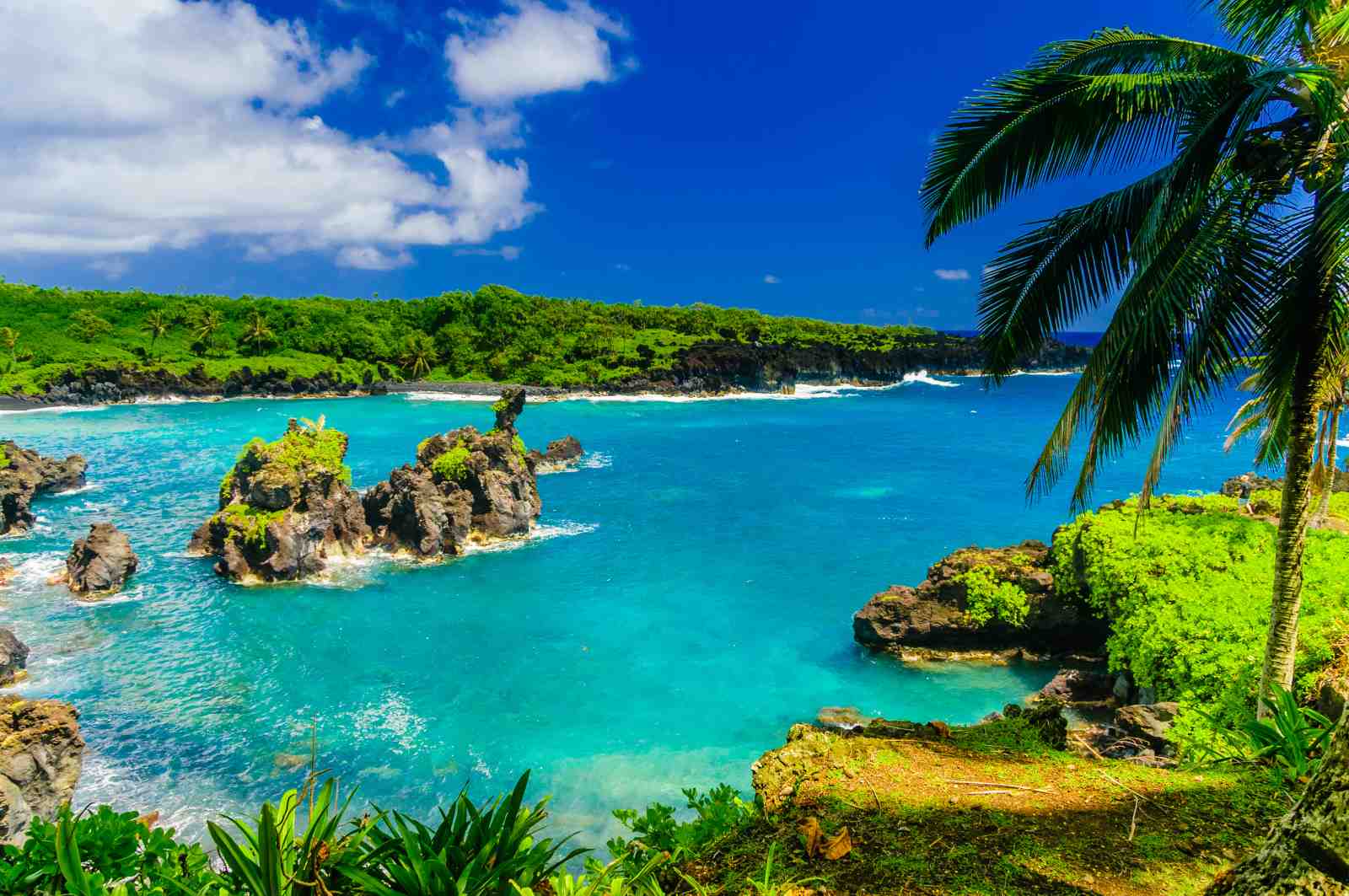 Tropical Paradise Ocean Black Sand Beach Wall Art