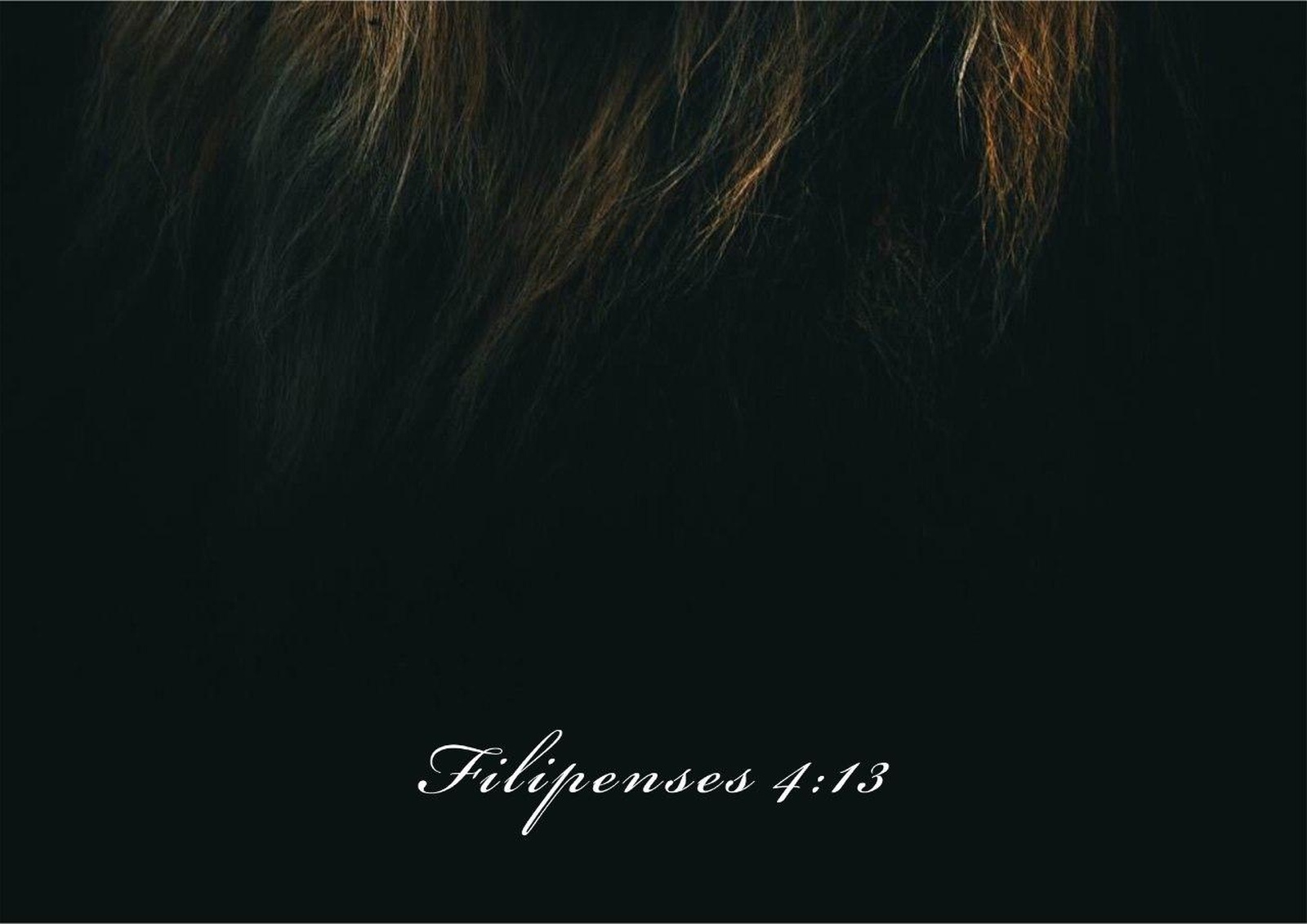 Inspirational Lion Mane Scripture Wall Art