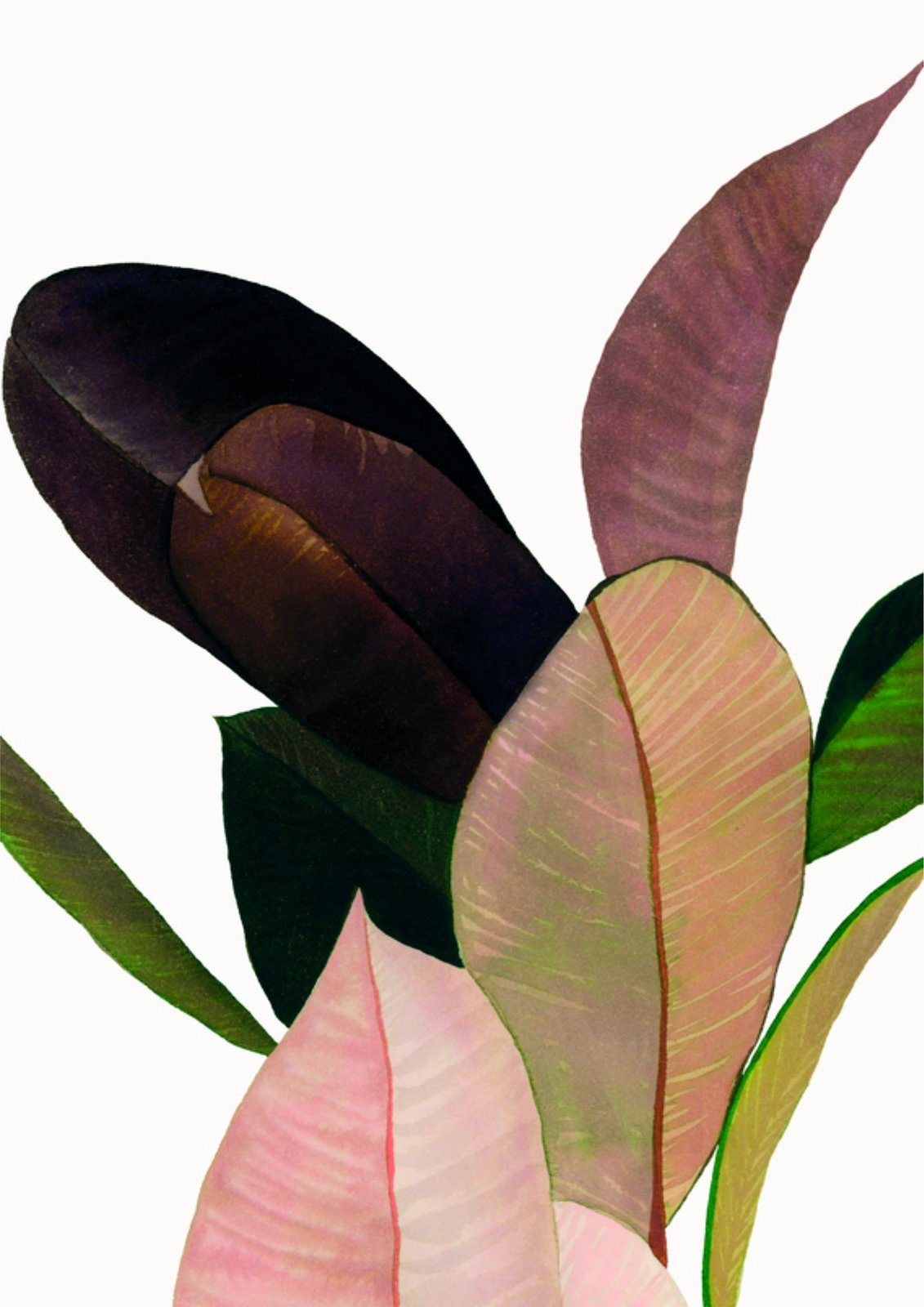 Vibrant Pink & Green Philodendron Leaves Wall Art
