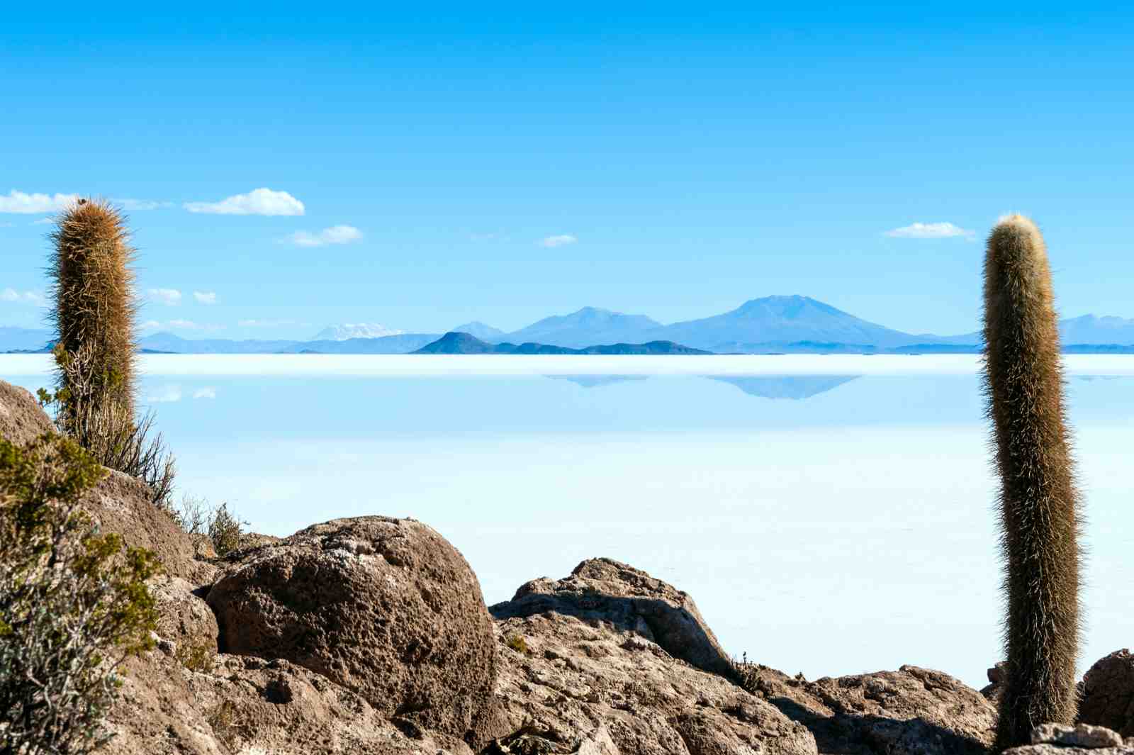 Salar de Uyuni Cactus Landscape Wall Art