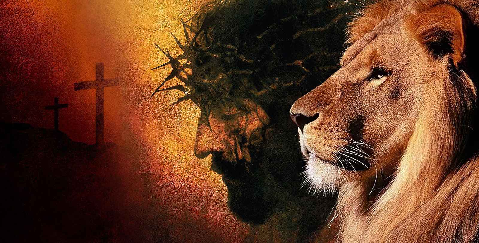 Lion of Judah & Cross Wall Art