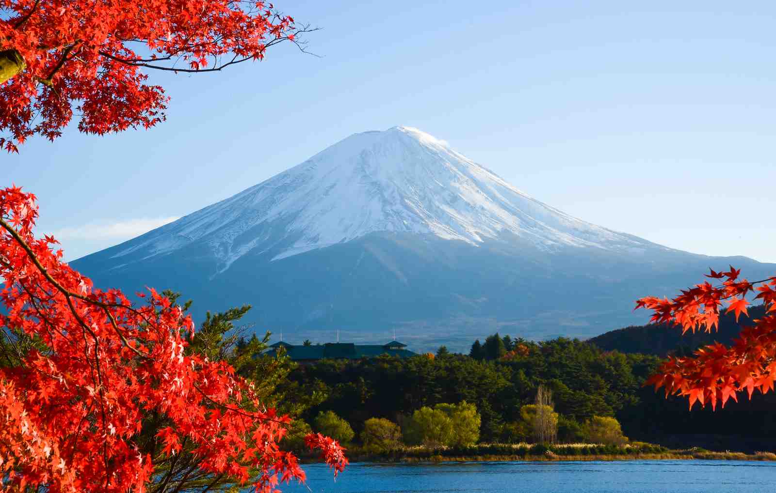 Majestic Fuji Autumn Maple Wall Art