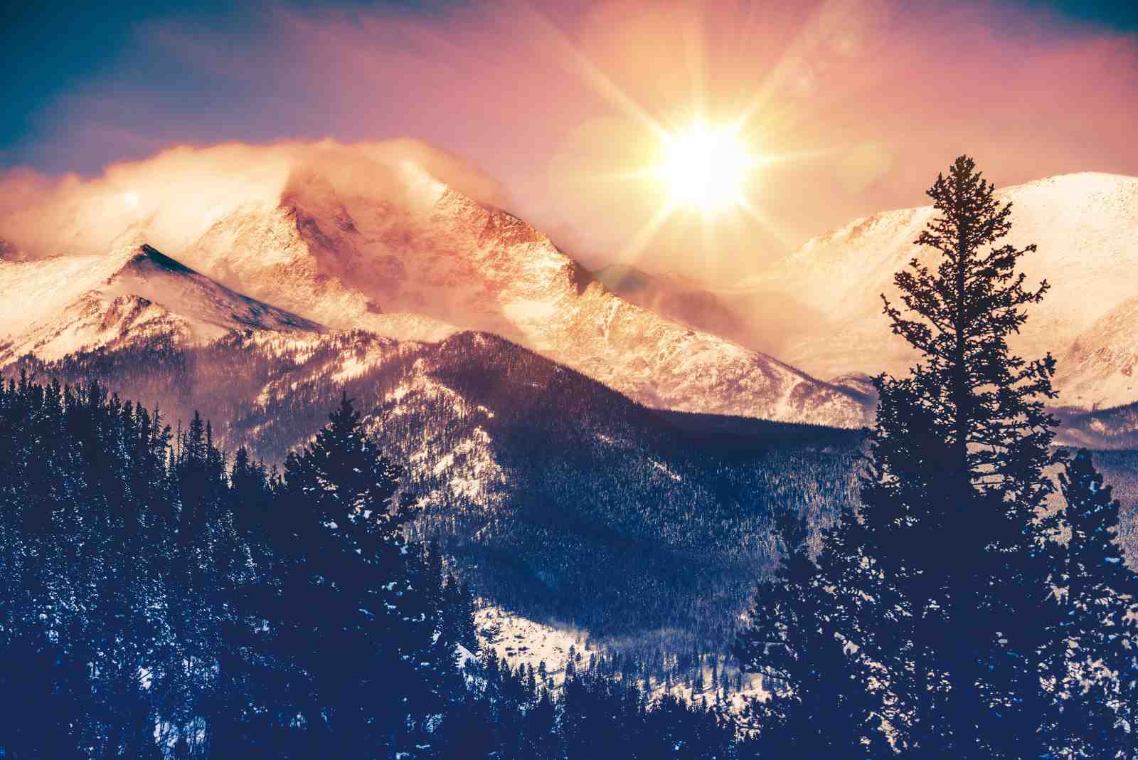 Sunset Mountain Forest Wall Art