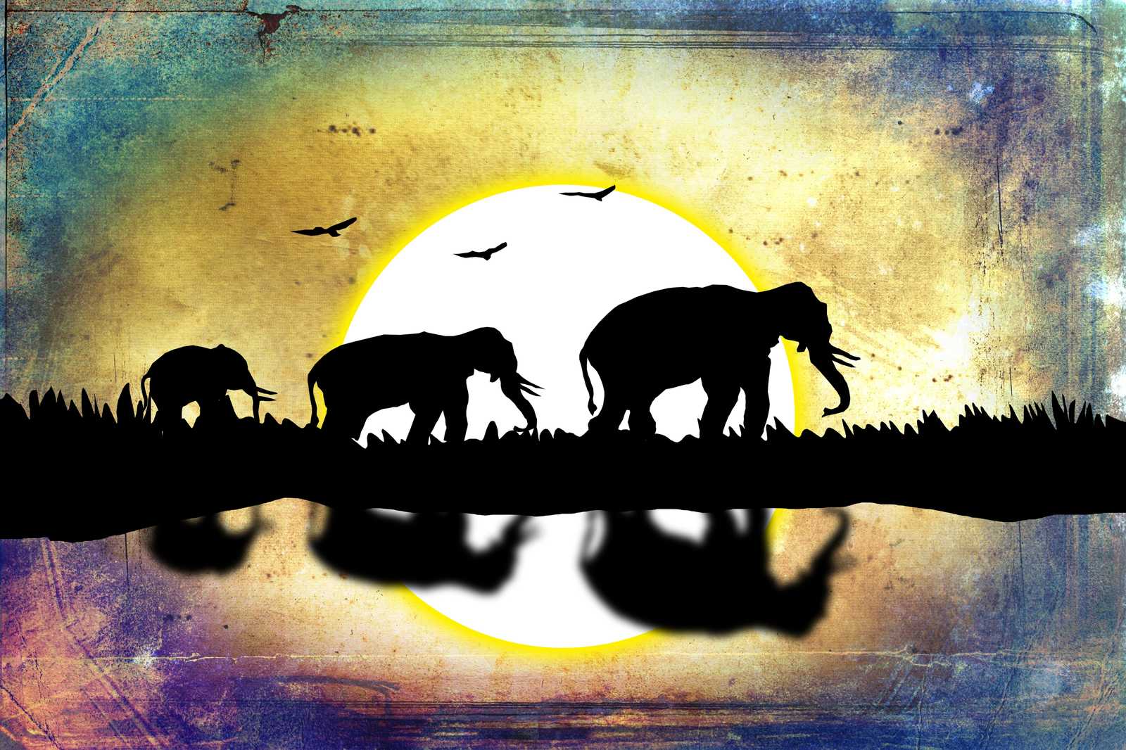 Majestic Elephant Herd Safari Sunset Wall Art