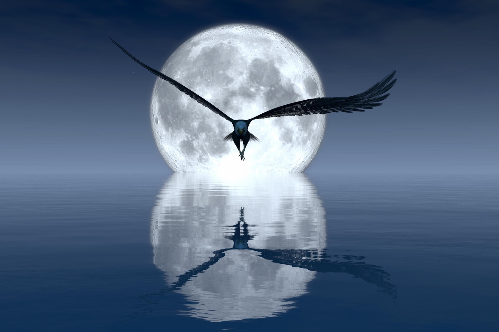 Majestic Eagle Moonlit Flight Wall Art