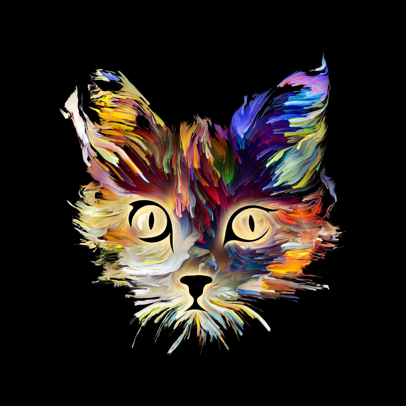 Vibrant Cat Face Splash Art Wall Art