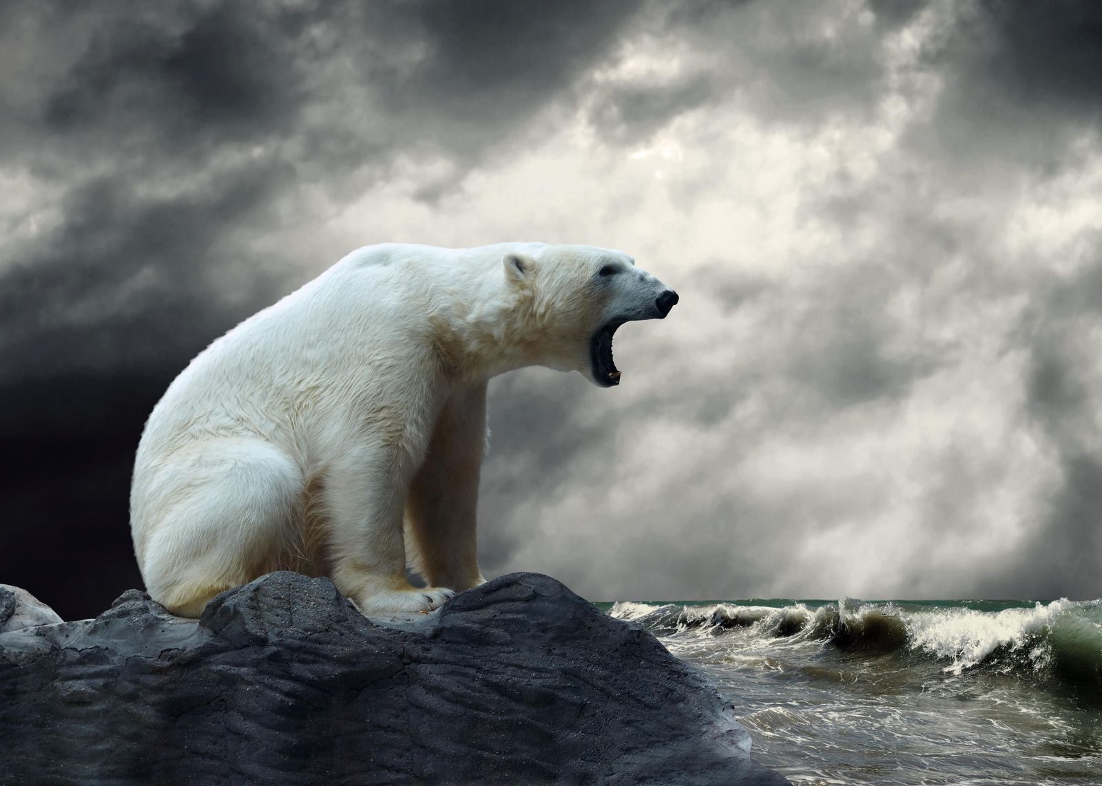 Majestic Polar Bear Roaring Wall Art