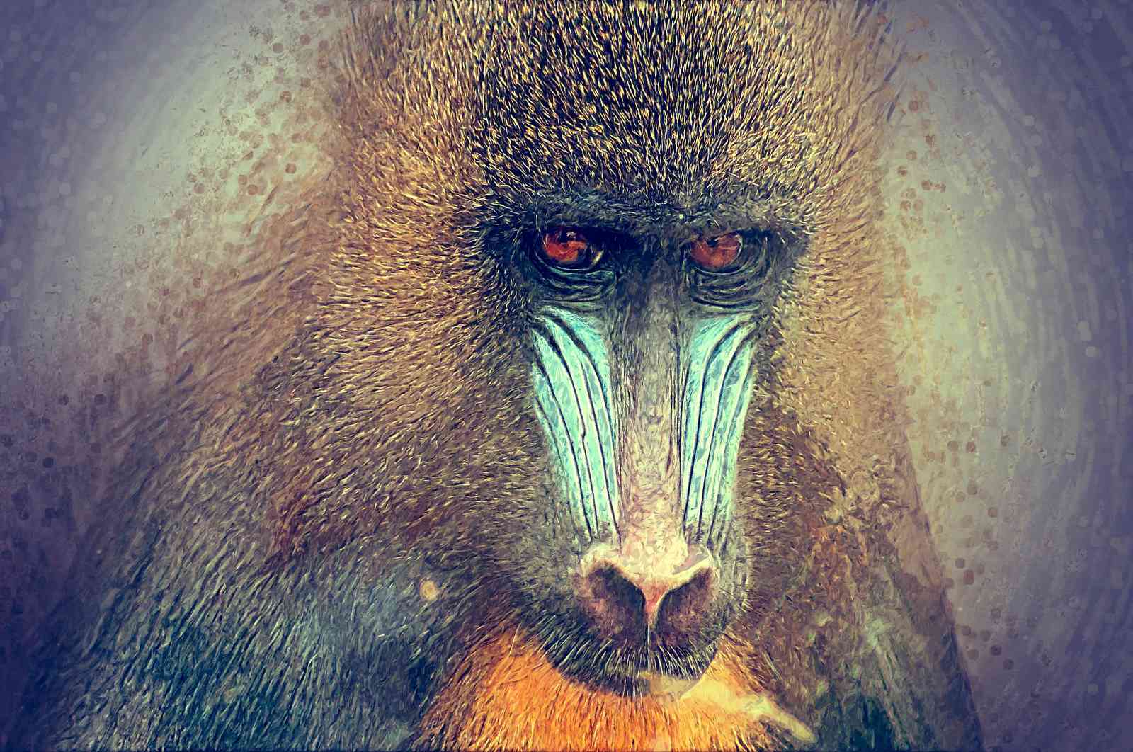 Majestic Mandrill Portrait Wall Art
