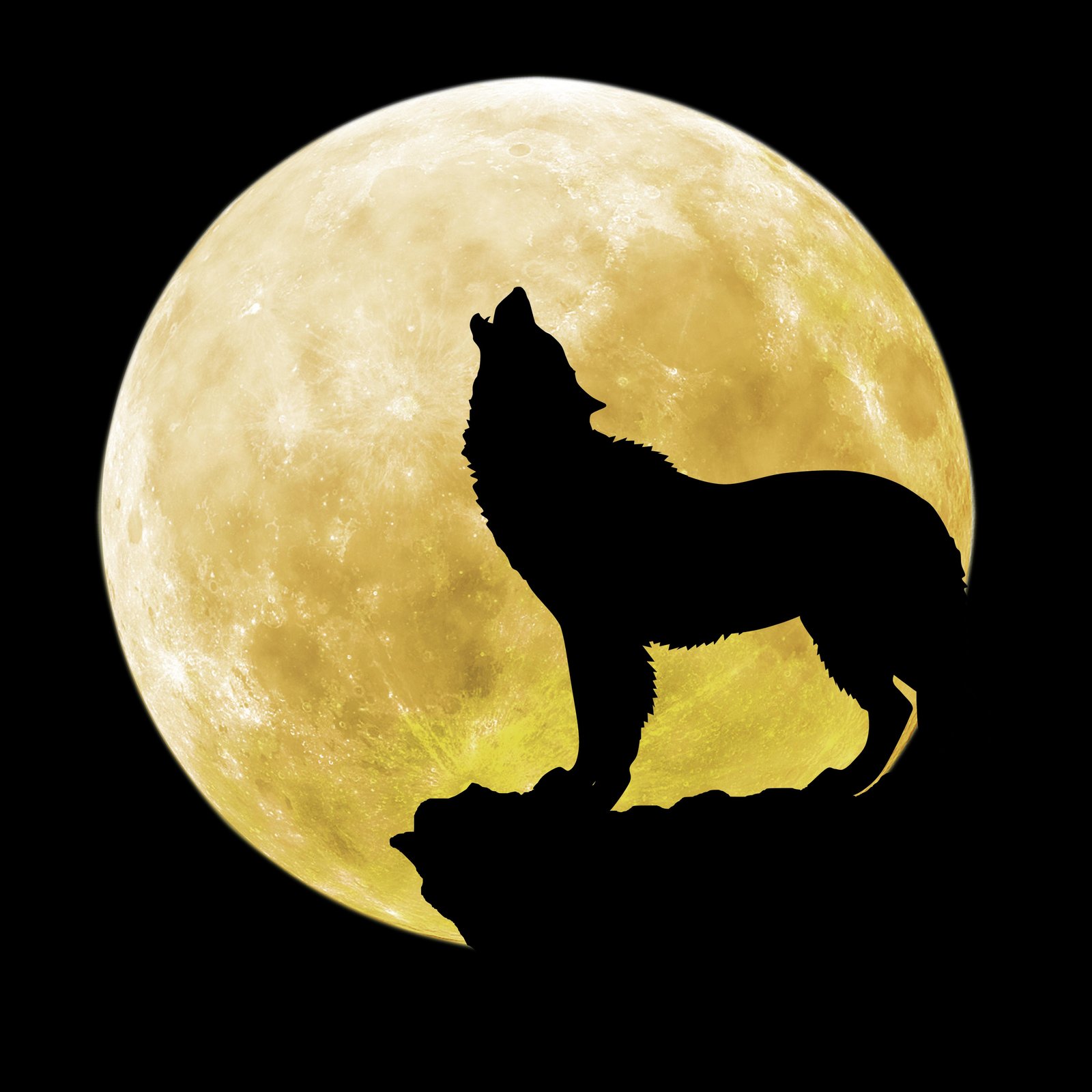 Majestic Wolf Howling Moon Wall Art