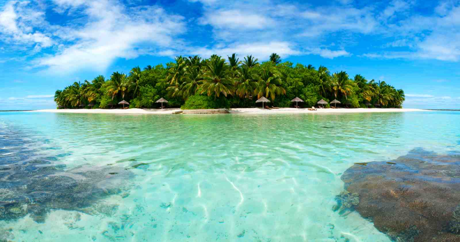 Tropical Paradise Beach Wall Art