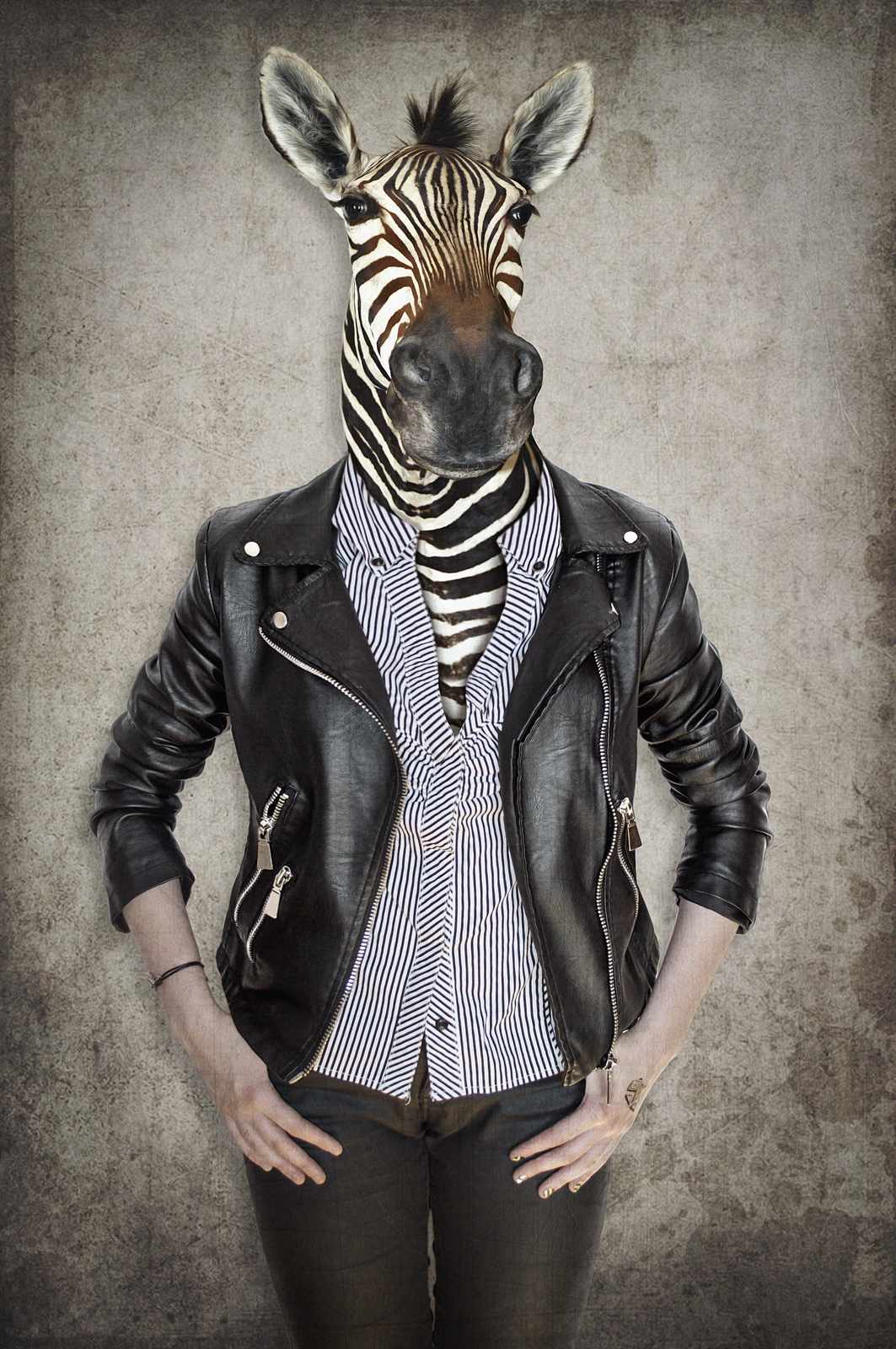 Cool Zebra Punk Rock Leather Jacket Wall Art