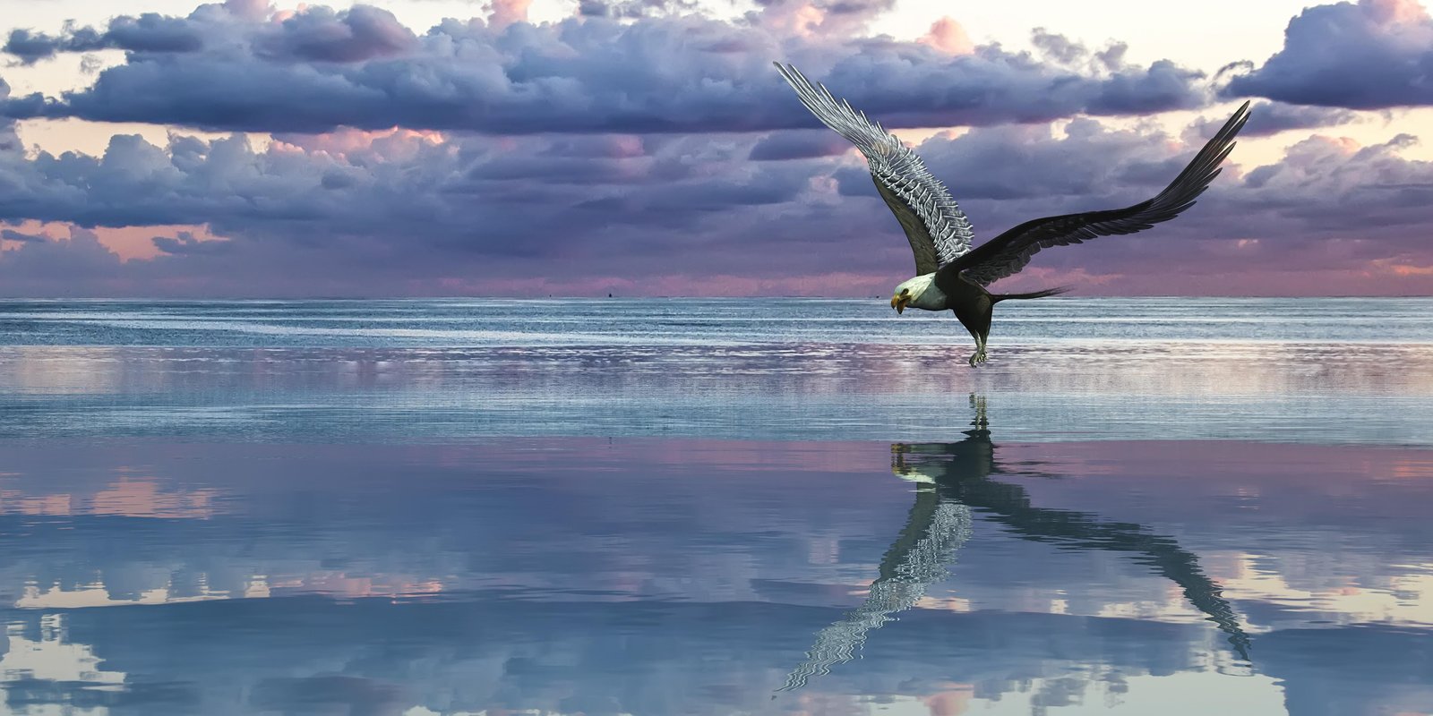 Majestic Eagle Over Water Wall Art