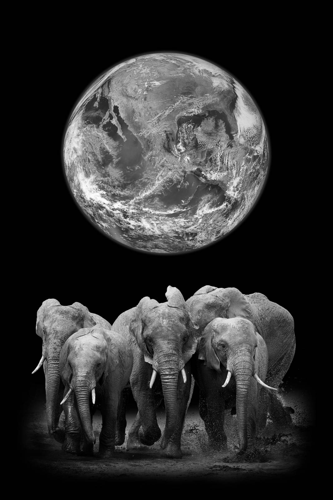 Majestic Elephants & Earth "Wanderlust" Wall Art