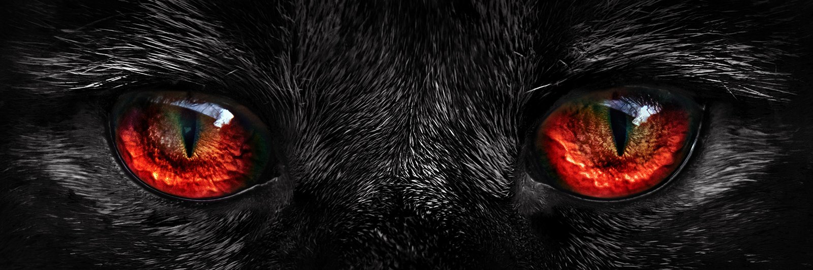 Mysterious Black Cat with Fiery Eyes Wall Art