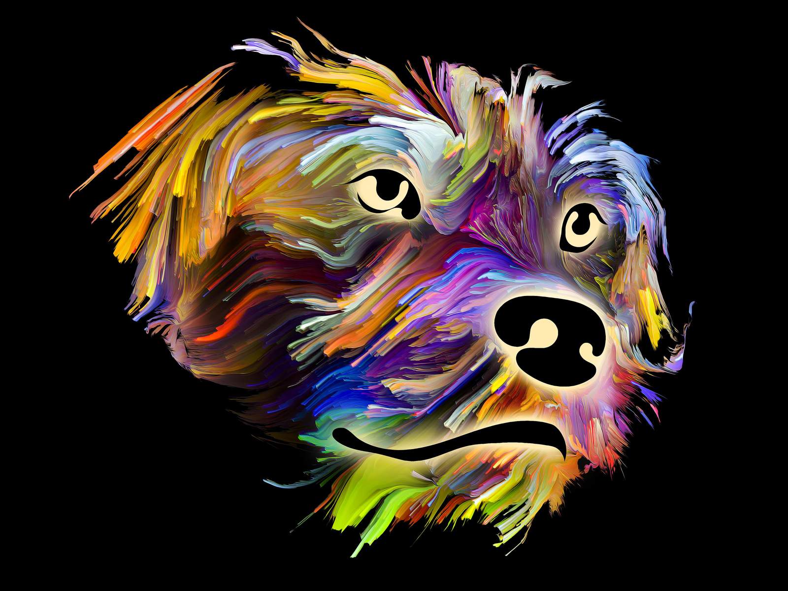 Vibrant Abstract Dog Portrait Wall Art