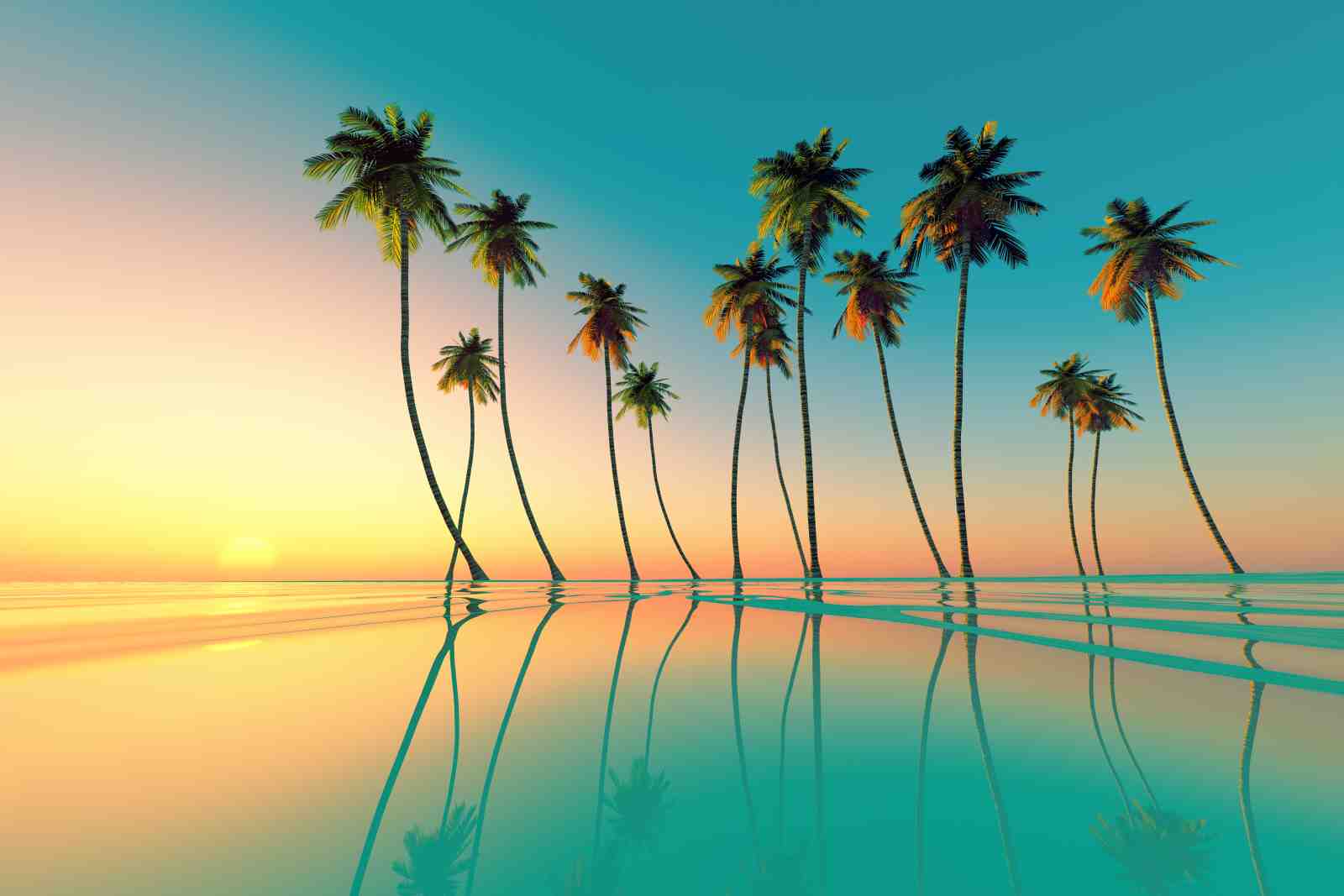 Tropical Sunset Palm Trees Wall Art