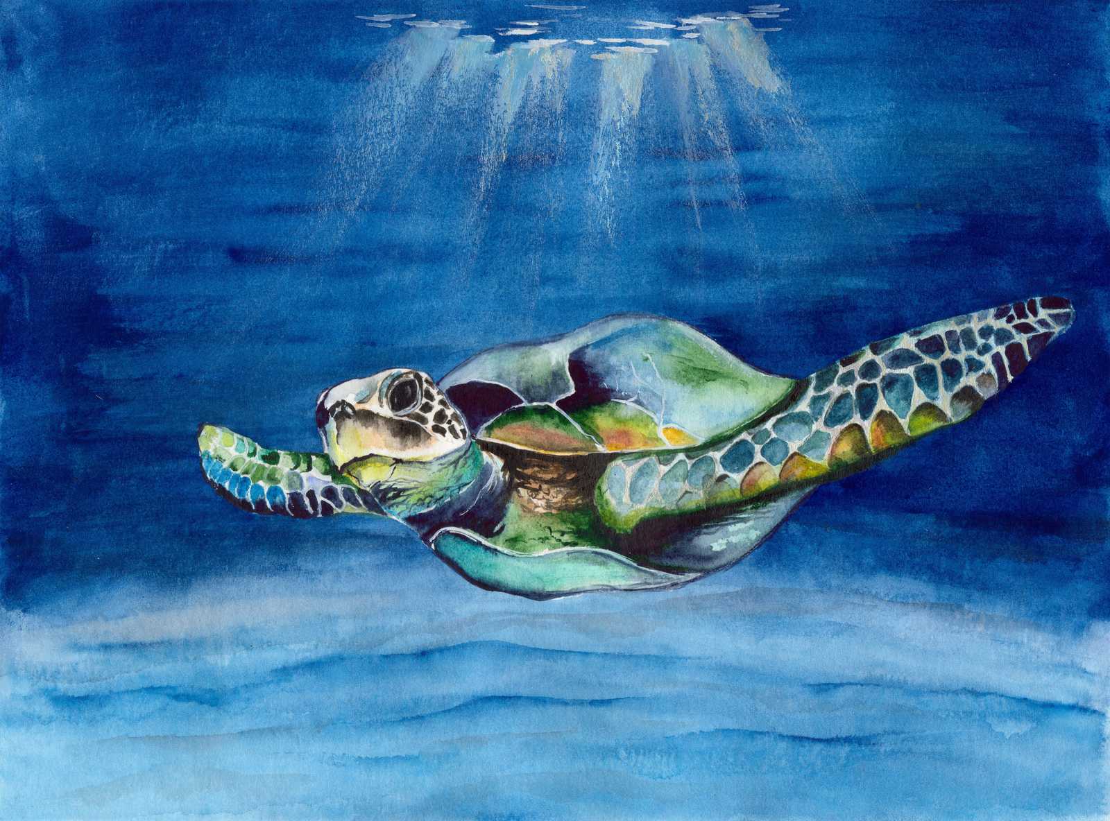 Serene Sea Turtle Underwater Watercolor Wall Art