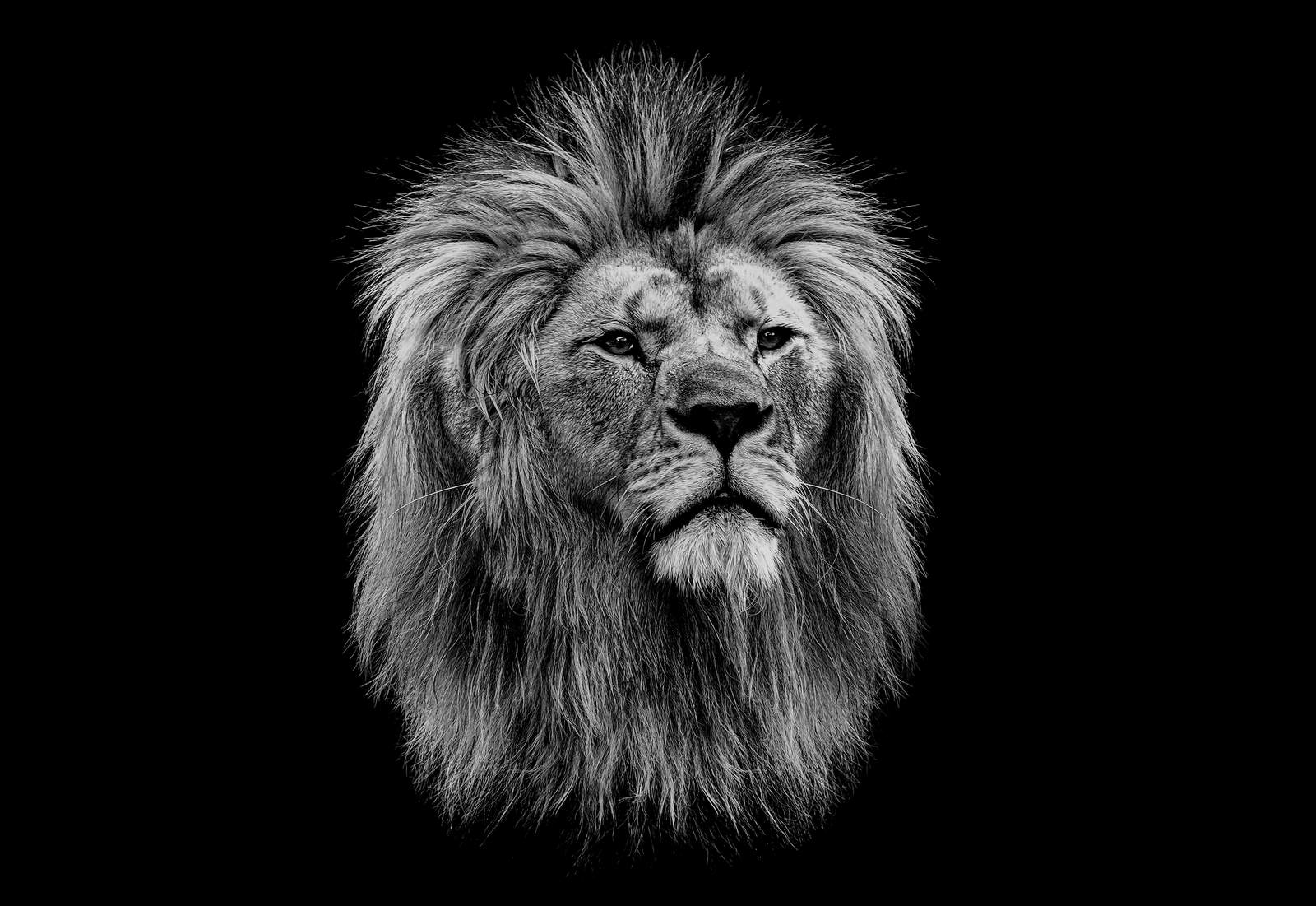 Majestic Lion B&W Portrait Wall Art
