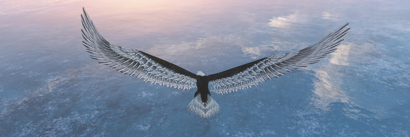 Majestic Eagle Flight Wall Art - Wildlife Art