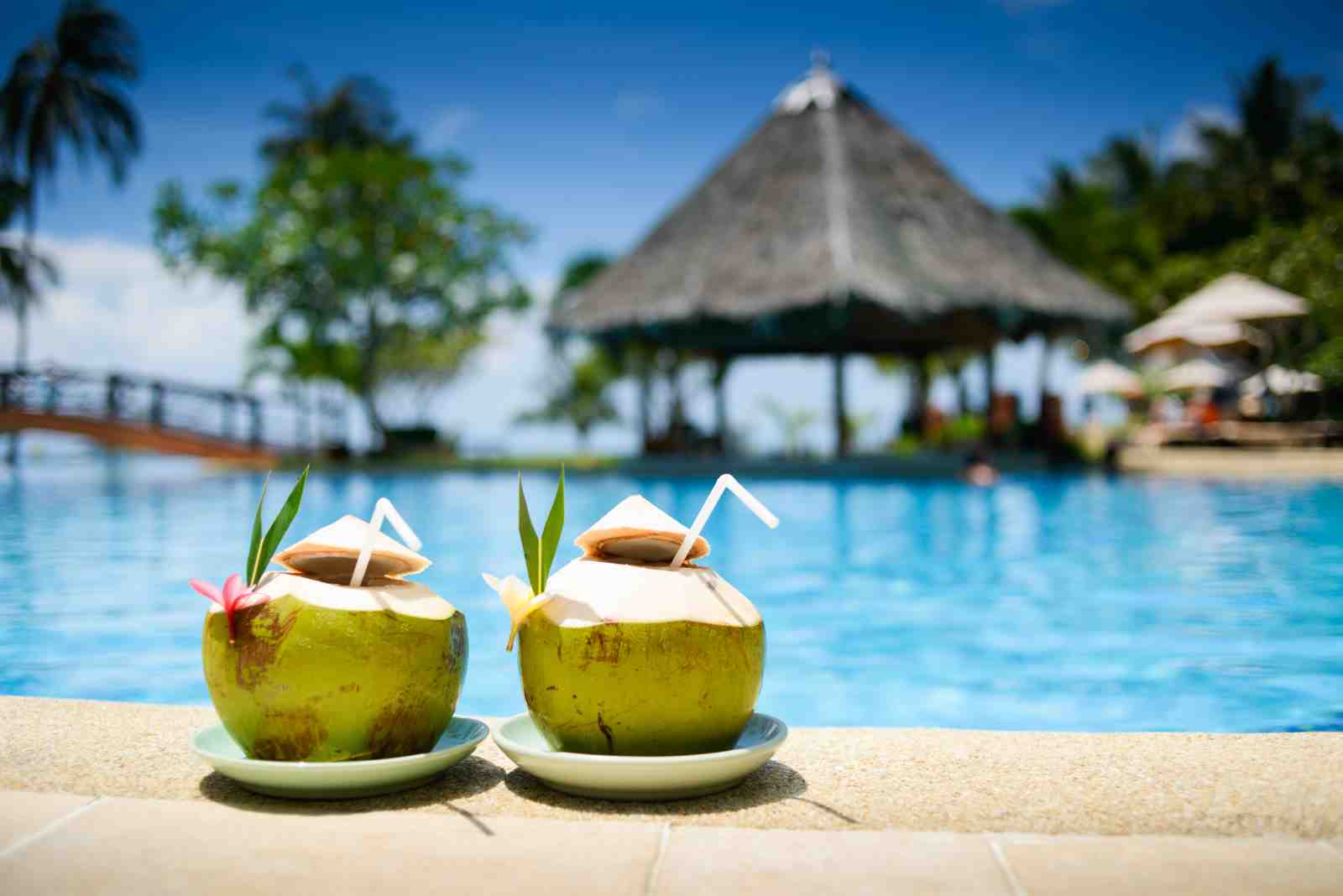 Tropical Paradise Coconut Drinks Wall Art