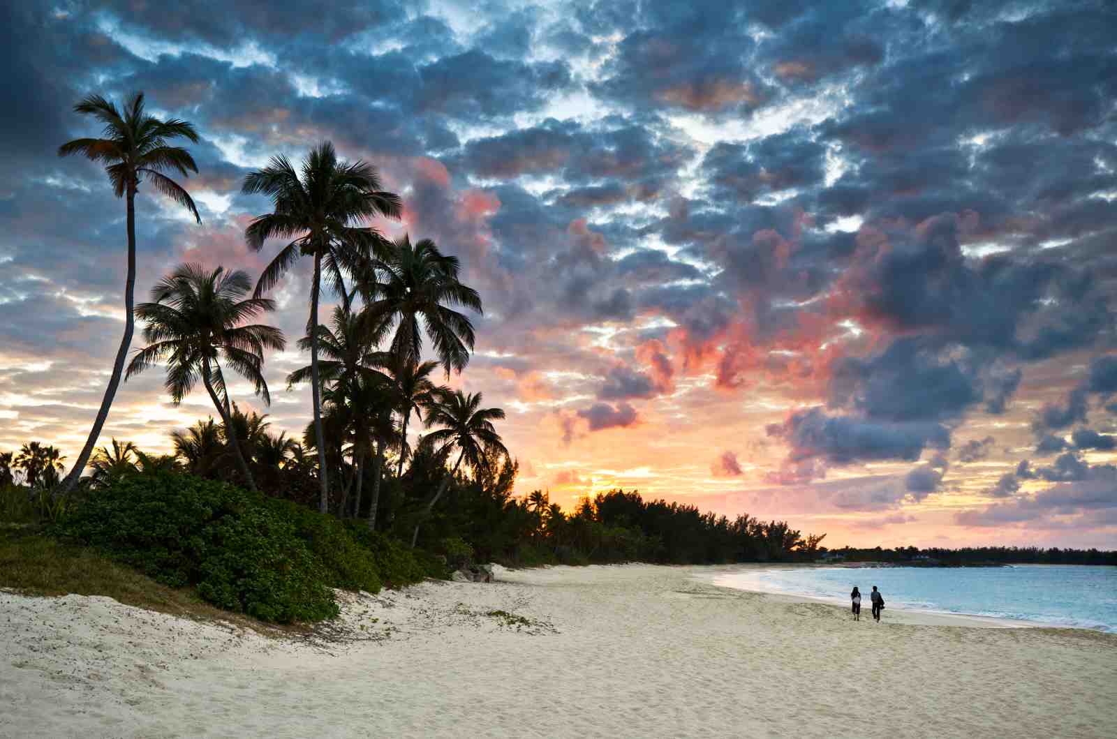 Tropical Sunset Beach Palm Trees Wall Art