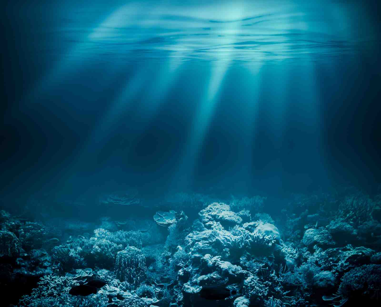 Ocean Sunbeams Coral Reef Wall Art