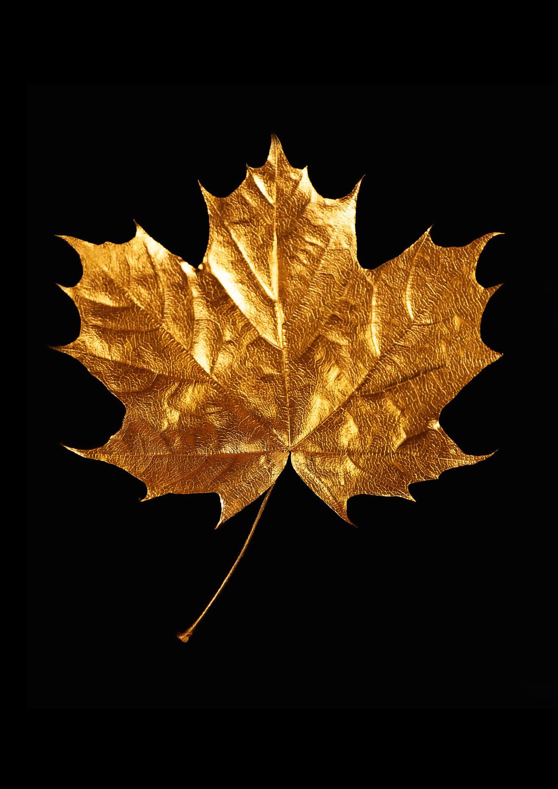 Luxurious Gold Maple Leaf Wall Art