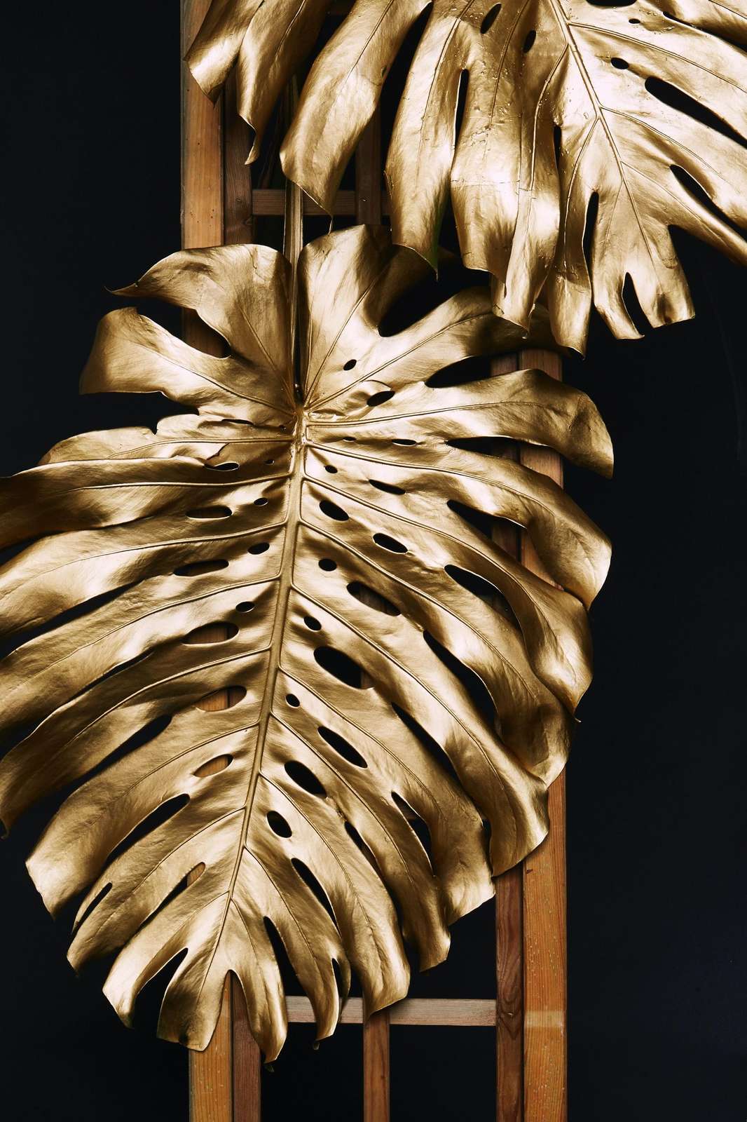 Elegant Gold Monstera Leaf Wall Art