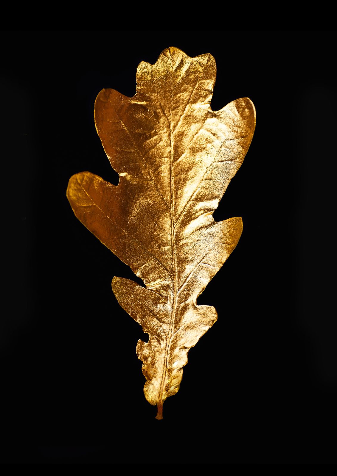 Golden Oak Leaf Wall Art Wall Art