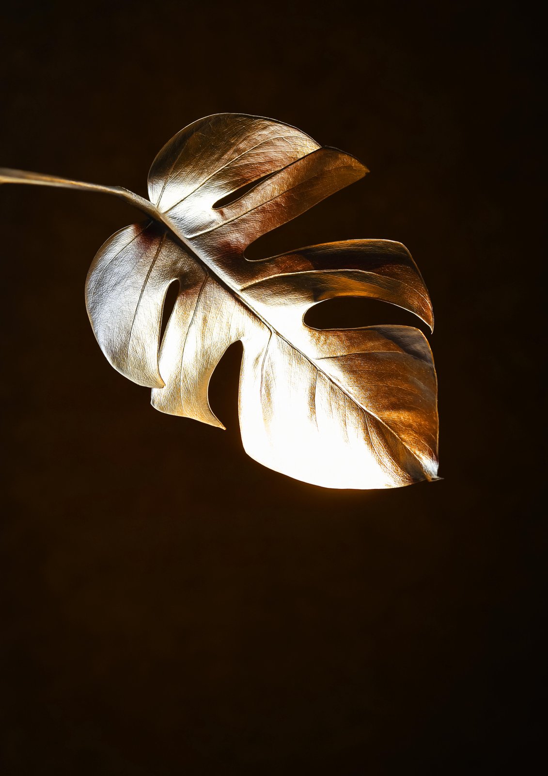 Gold Monstera Leaf Art Wall Art