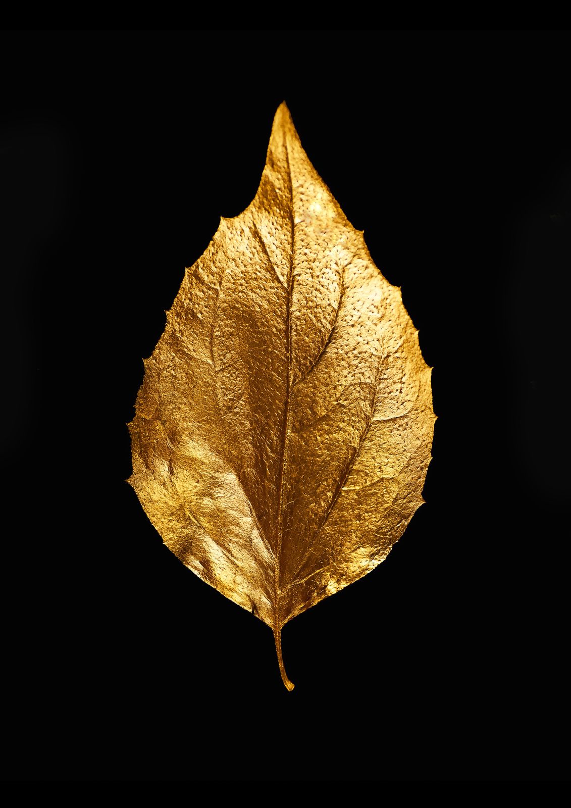 Elegant Golden Leaf Wall Art Wall Art