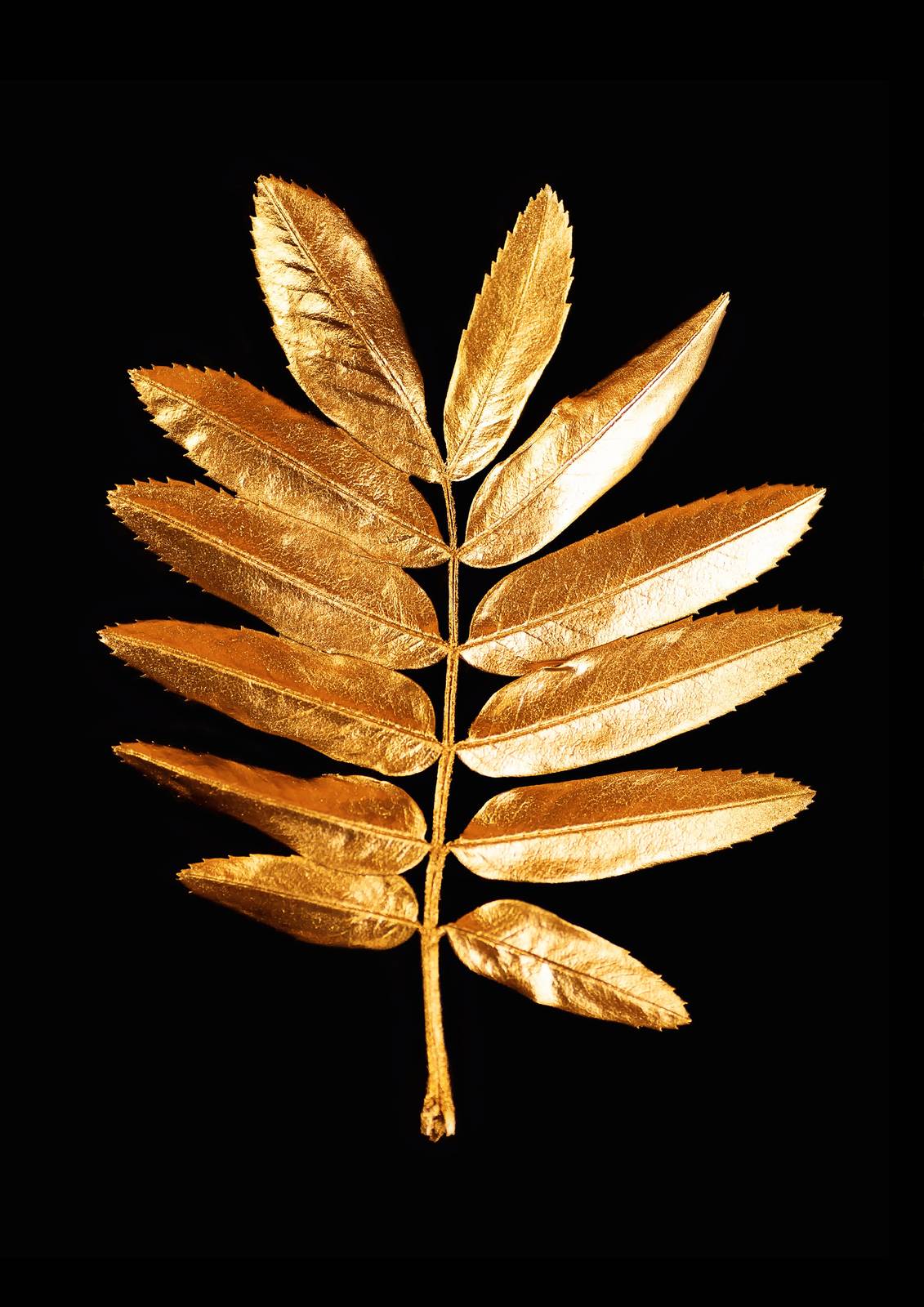 Gilded Leaf Botanical Art Wall Art