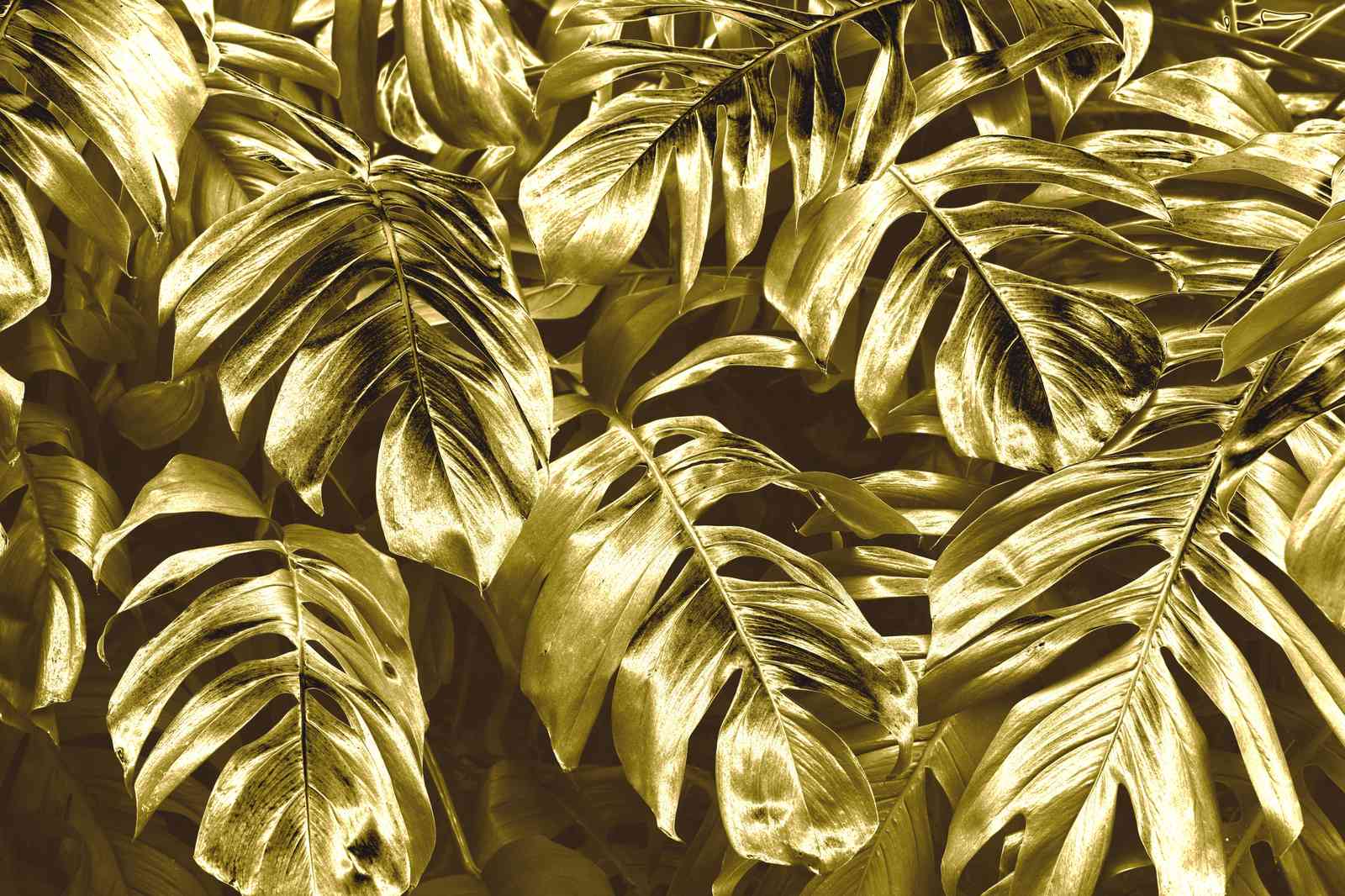 Golden Tropical Leaves Wall Art Wall Art