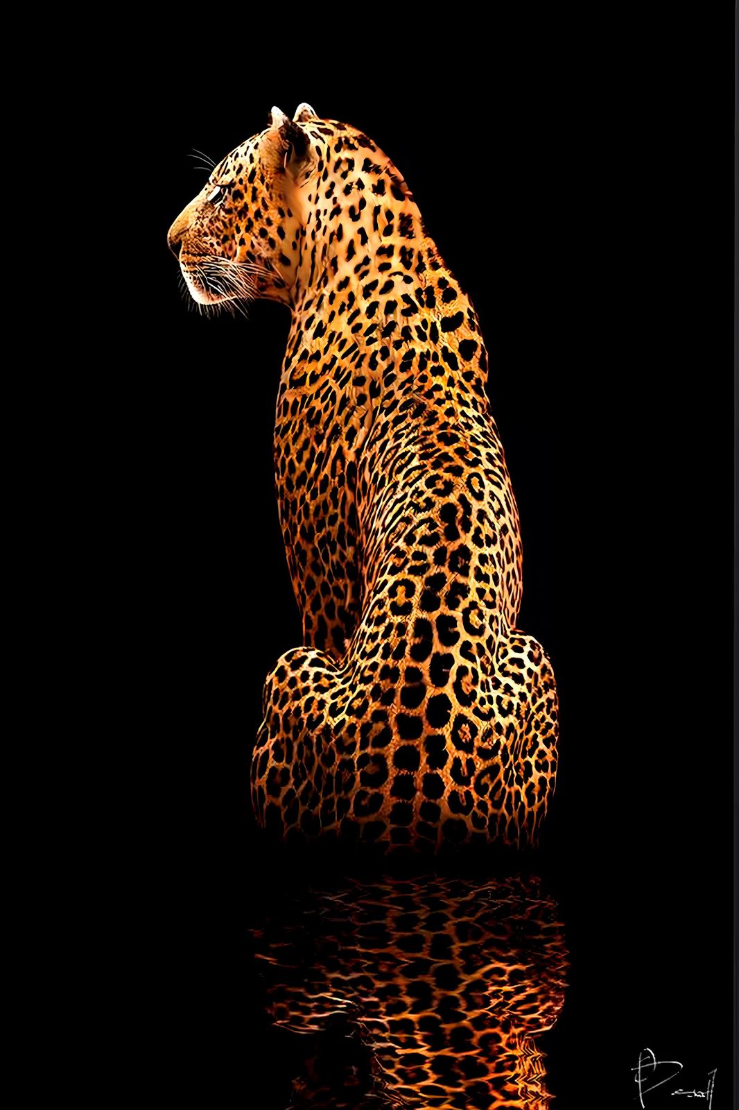 Majestic Leopard Profile Wall Art