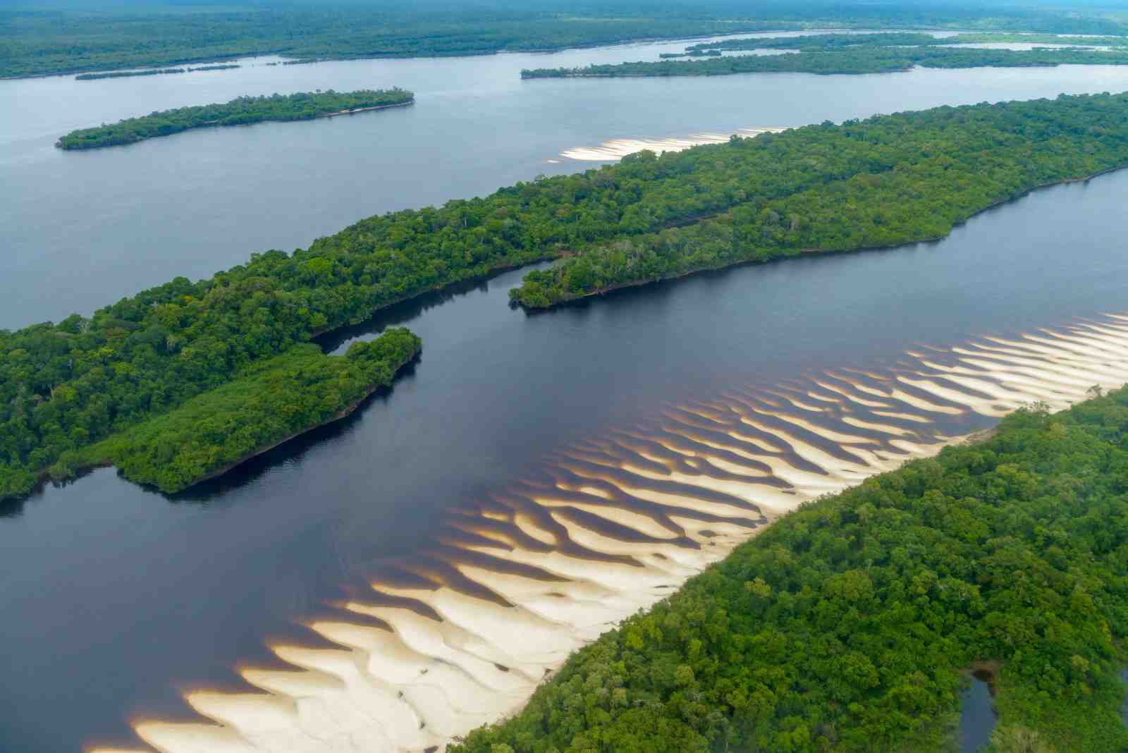 Amazon River Landscape Wall Art