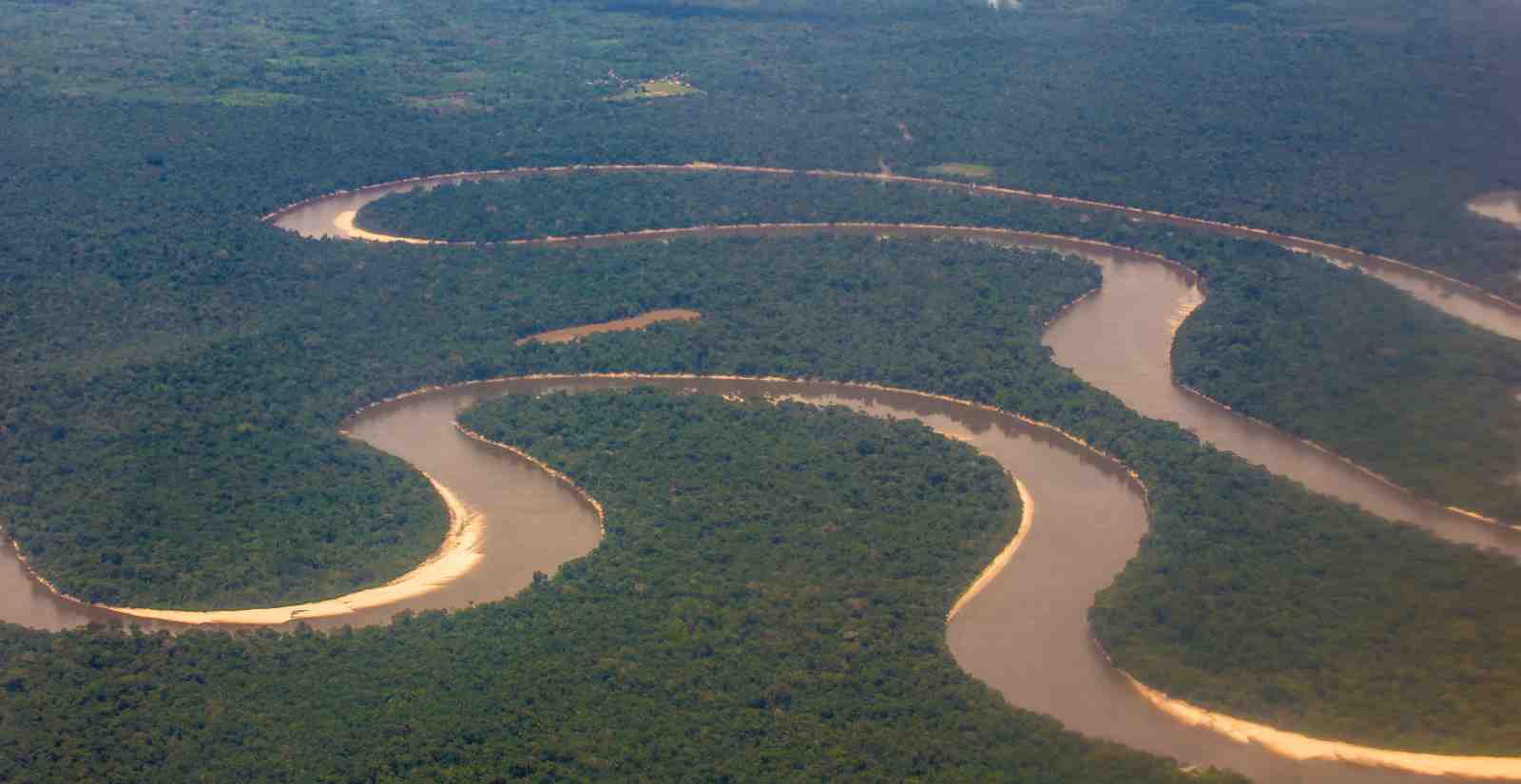 Serene Amazon River Bend Wall Art