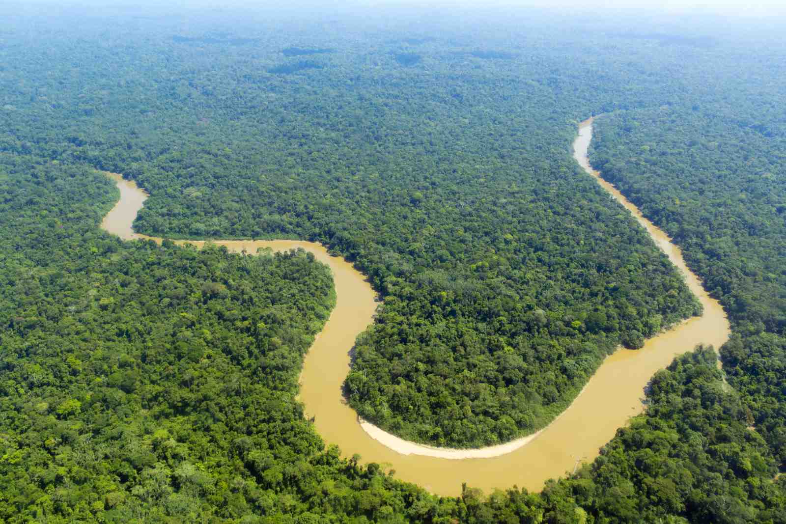 Serene Amazon River Bend Wall Art