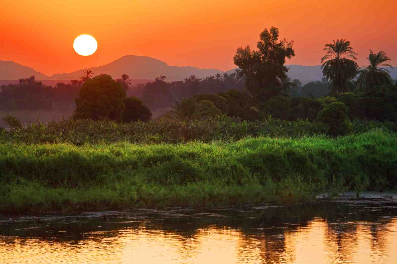 Serene Sunset River Oasis Wall Art