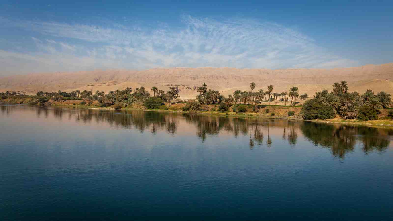 Serene Nile River Oasis Palm Trees Wall Art